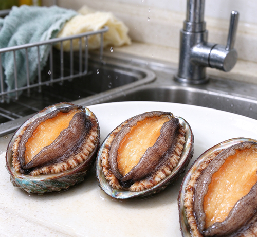Abalone