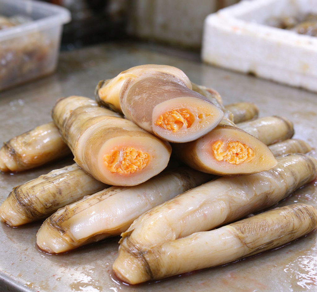 Razor Clams